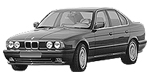 BMW E34 B105D Fault Code